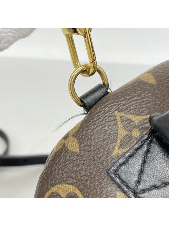 Louis Vuitton Backpack Monogram Palm Springs Mini Brown